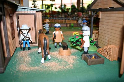 IMG_8145.jpg (57.28 KiB) 2269 mal betrachtet IMG_8145.jpg