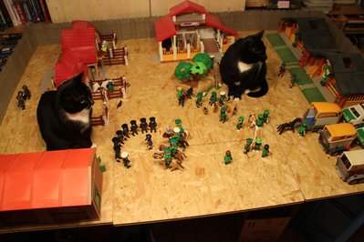 Landesreiterstaffel 047.JPG (127.75 KiB) 1894 mal betrachtet Landesreiterstaffel 047.JPG