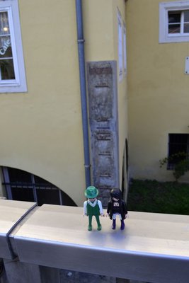 steyr8.jpg
