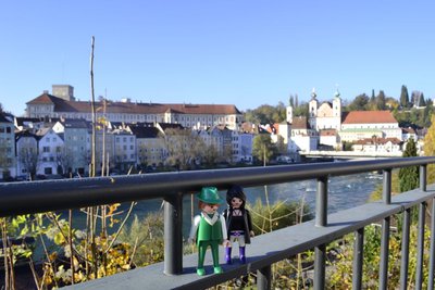 steyr1.jpg