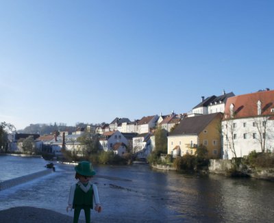 steyr19.jpg
