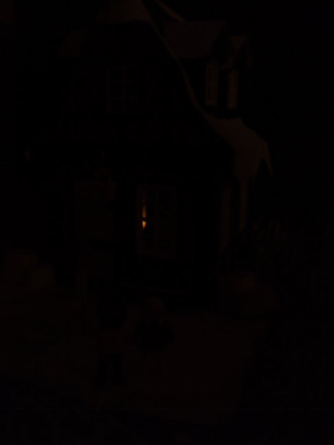 dsc03087.jpg