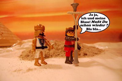 241.JPG