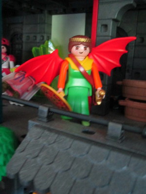 rot-grüne Drachenkriegerin.jpg