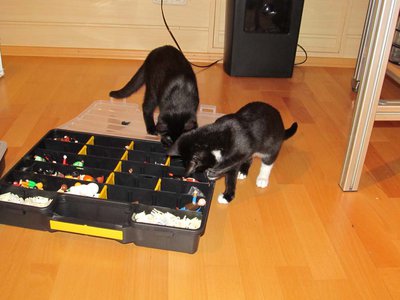 sammy und elli 015.jpg