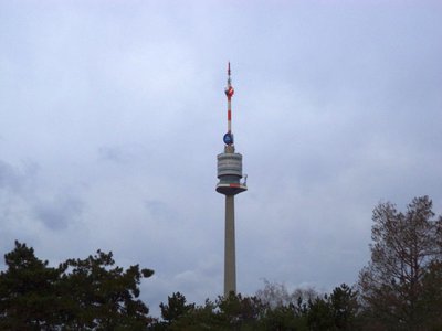 9.JPG