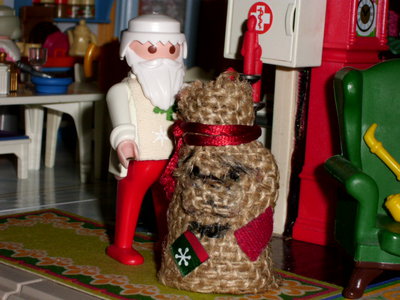 DSCI3316.JPG (190.25 KiB) 3117 mal betrachtet DSCI3316.JPG