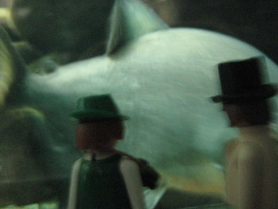 aquarium.jpg