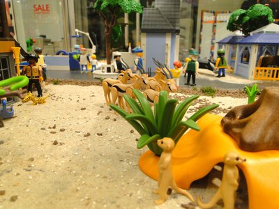 Zoologischer Themenpark – 48.jpg
