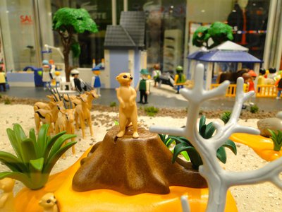 Zoologischer Themenpark – 47.jpg