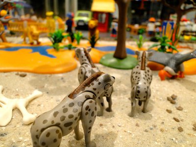 Zoologischer Themenpark – 45.jpg