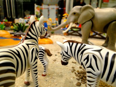 Zoologischer Themenpark – 43.jpg