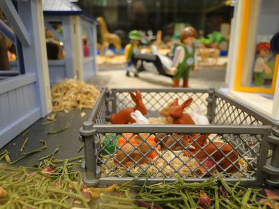 Zoologischer Themenpark – 56.jpg
