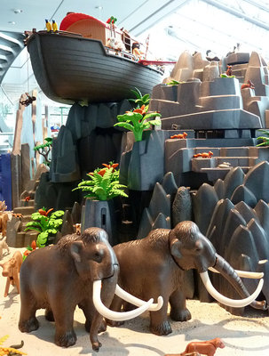 Noah-1.jpg