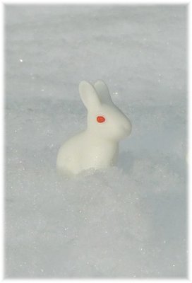 Schneehase2.jpg