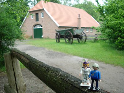 xDsc07993.jpg