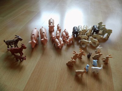 IMG_2205 (Custom).JPG