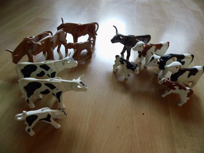 IMG_2206 (Custom).JPG