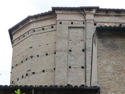 IMG_1821.jpg