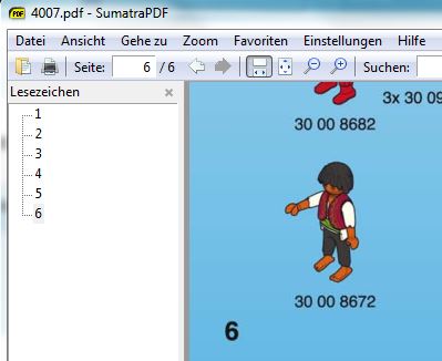 Pirat4007.JPG