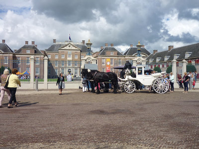 2013Speel286b.jpg