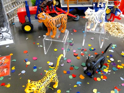 MAG Circus Barum (Raubtiere) – 13.jpg