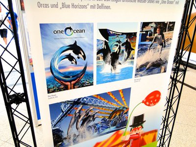 MAG SeaWorld (Wasser-Zoo) – 05.jpg