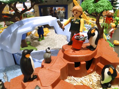 MAG SeaWorld (Wasser-Zoo) – 16.jpg