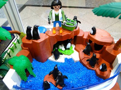 MAG SeaWorld (Wasser-Zoo) – 24.jpg