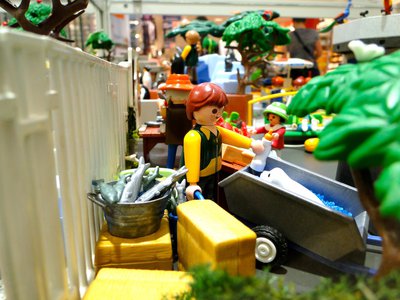 MAG SeaWorld (Wasser-Zoo) – 19.jpg