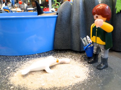 MAG SeaWorld (Wasser-Zoo) – 30.jpg