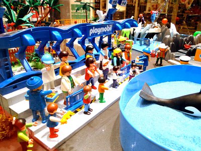 MAG SeaWorld (Wasser-Zoo) – 29.jpg