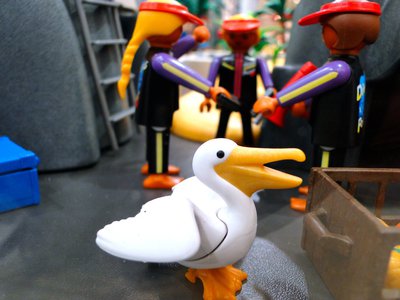 MAG SeaWorld (Wasser-Zoo) – 28.jpg