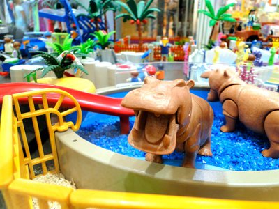MAG SeaWorld (Wasser-Zoo) – 26.jpg