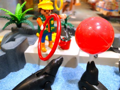 MAG SeaWorld (Wasser-Zoo) – 25.jpg