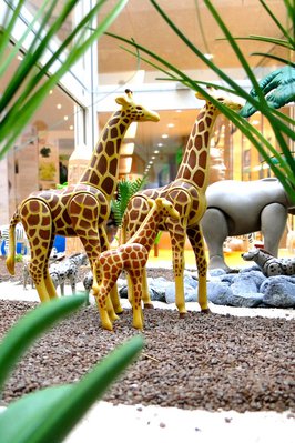MAG JASIRI Hotel (Safari) – 15.jpg