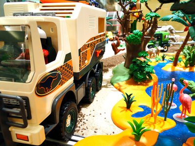 MAG JASIRI Hotel (Safari) – 23.jpg