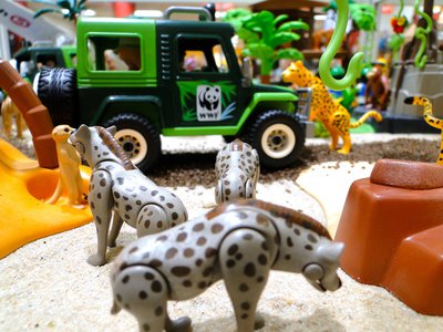 MAG JASIRI Hotel (Safari) – 22.jpg