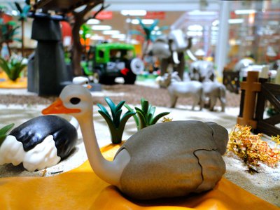 MAG JASIRI Hotel (Safari) – 21.jpg