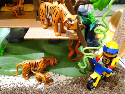 MAG JASIRI Hotel (Safari) – 32.jpg