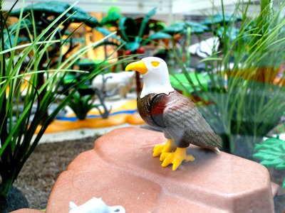 MAG JASIRI Hotel (Safari) – 34.jpg