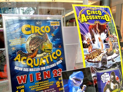 MAG Circo Acquatico (Circus unter Wasser) – 07.jpg