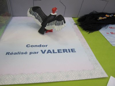 IMG_6910.JPG