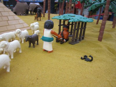 IMG_6872.JPG