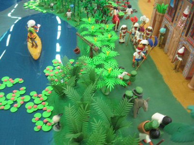 IMG_6563.JPG