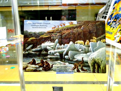 MAG Animal Kingdom – 08.jpg
