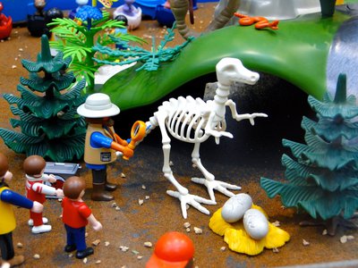 MAG Animal Kingdom – 29.jpg