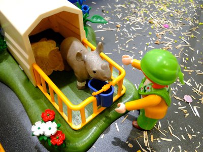 MAG Animal Kingdom – 36.jpg