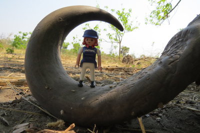 okawango-delta.jpg