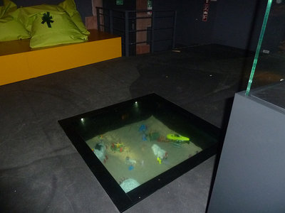 Bild-7.jpg